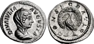 RIC IV Caracalla 396