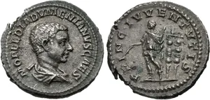 RIC IV Macrinus 107Ab