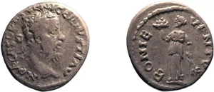 RIC IV Pescennius Niger 5D