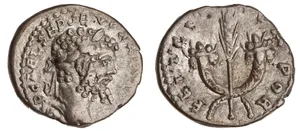 RIC IV Septimius Severus 354