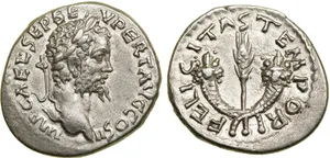 RIC IV Septimius Severus 374A