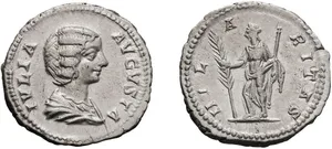 RIC IV Septimius Severus 555 (denarius)