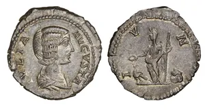 RIC IV Septimius Severus 559 (denarius)