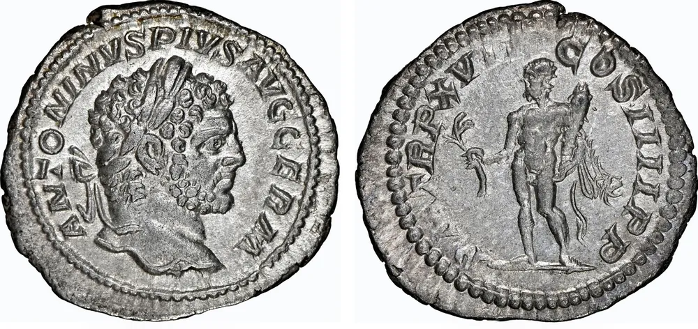 RIC IV Caracalla 239