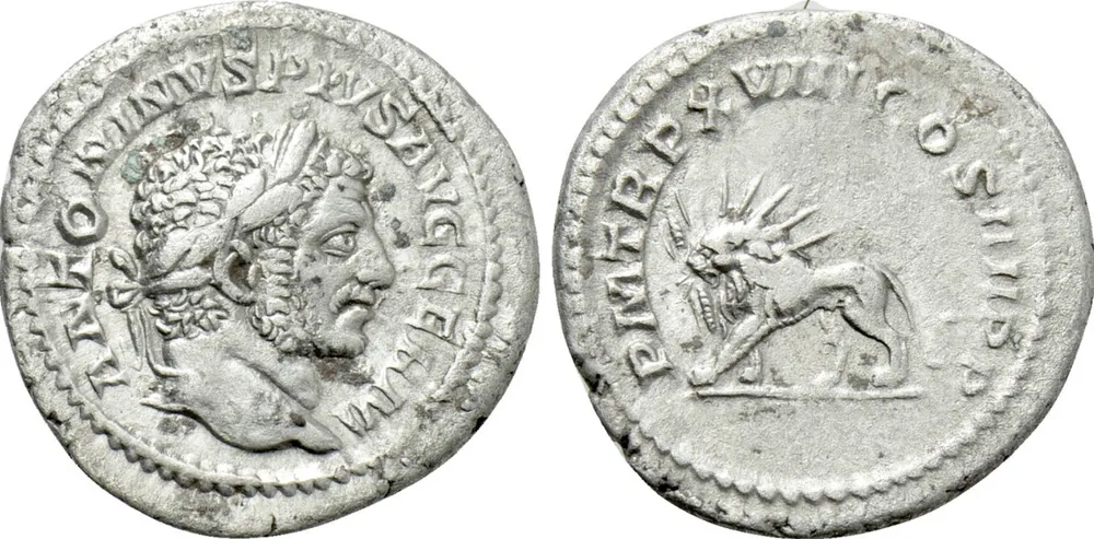 RIC IV Caracalla 273E