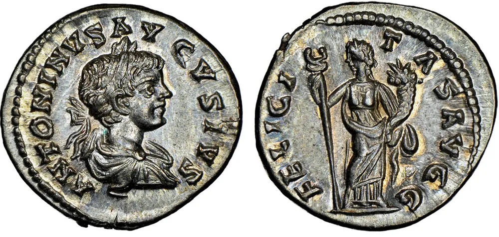 RIC IV Caracalla 339b