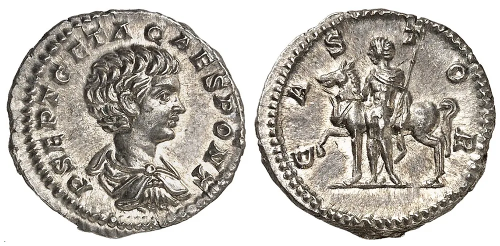 RIC IV Geta 6 (denarius)