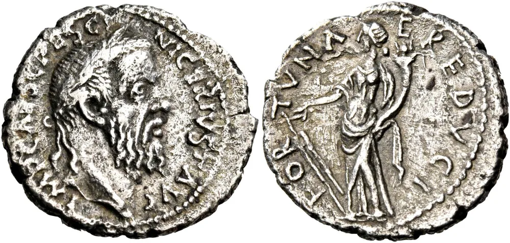 RIC IV Pescennius Niger 24