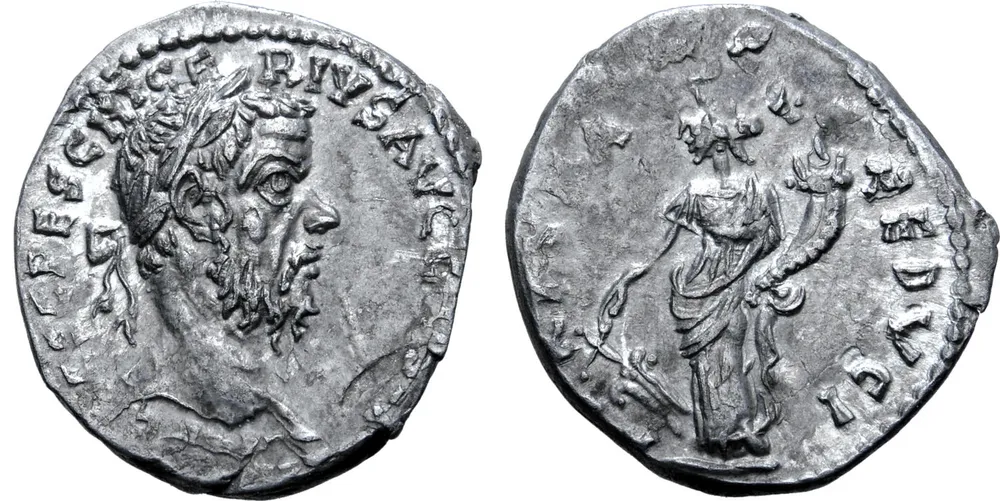 RIC IV Pescennius Niger 26E