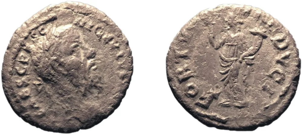 RIC IV Pescennius Niger 28B