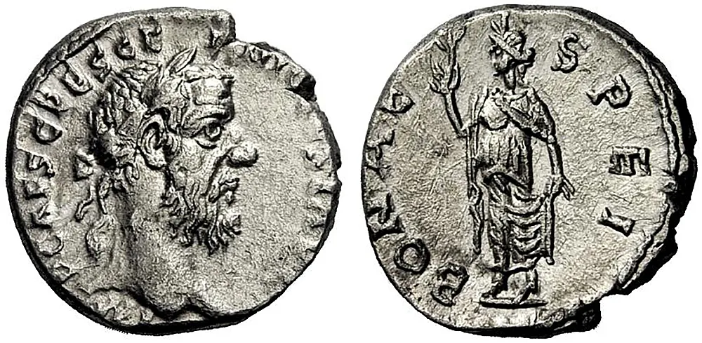 RIC IV Pescennius Niger 3B