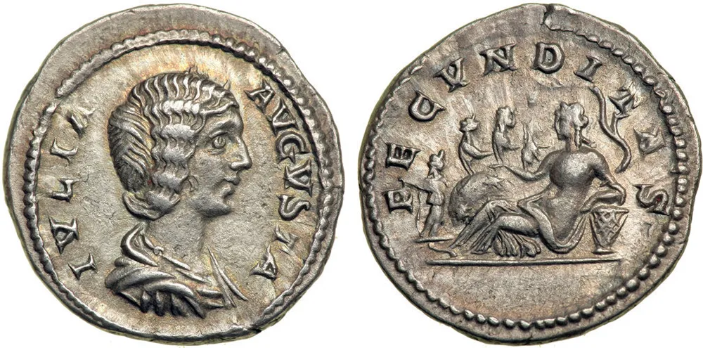 RIC IV Septimius Severus 549 (denarius)