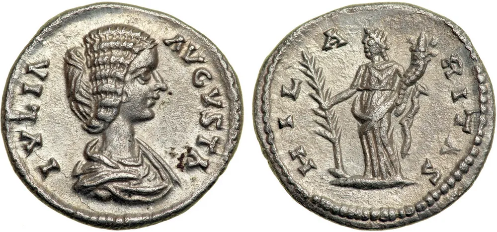 RIC IV Septimius Severus 556 (denarius)