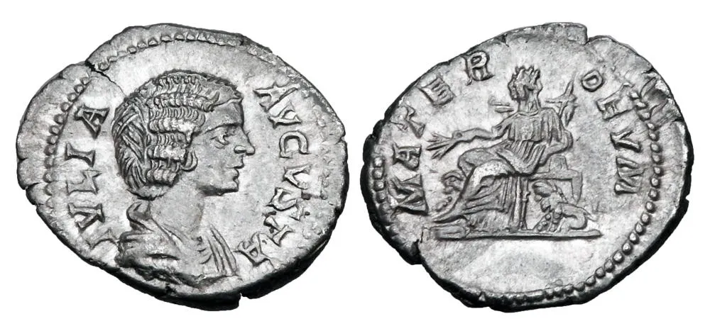 RIC IV Septimius Severus 565 (denarius)