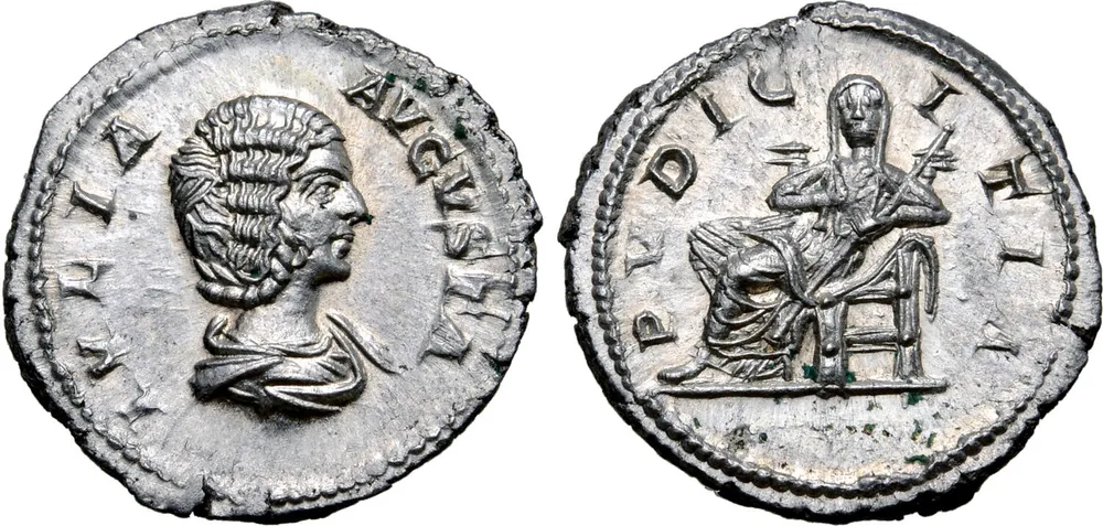 RIC IV Septimius Severus 575 (denarius)